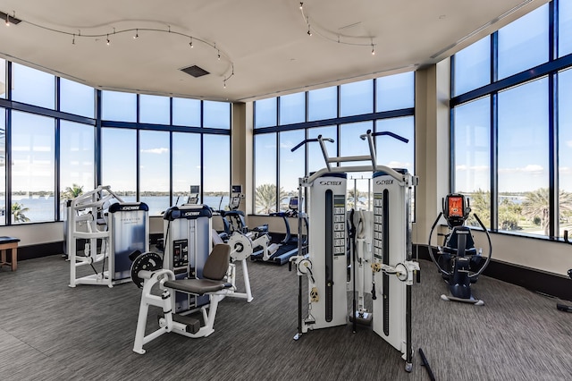 workout area featuring a water view and dark carpet