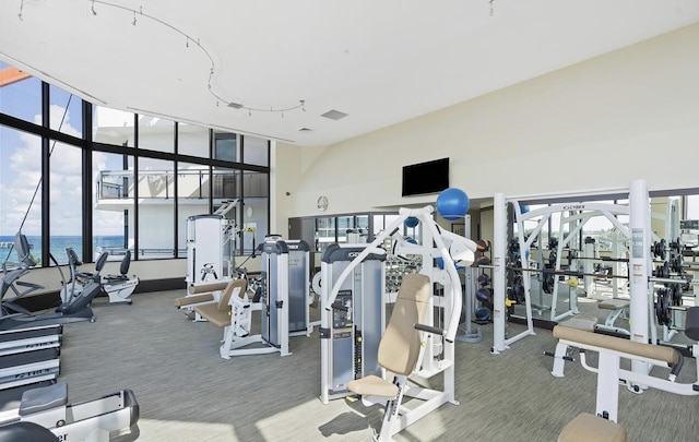 workout area featuring carpet