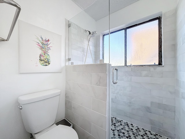 bathroom with an enclosed shower and toilet