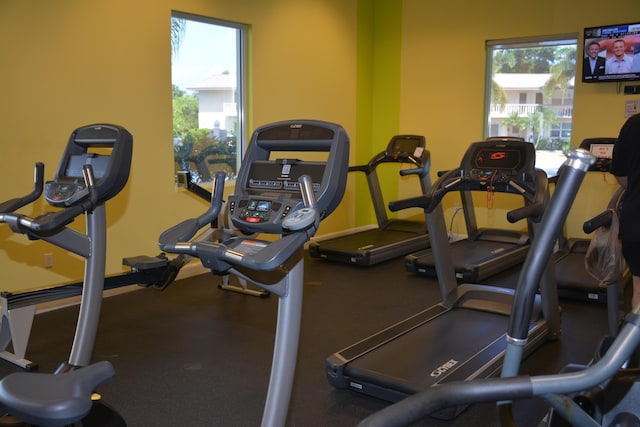 workout area featuring a wealth of natural light