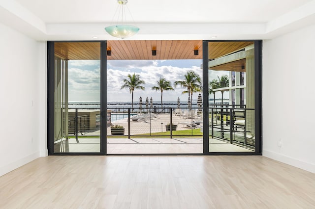 spare room featuring expansive windows and wood-type flooring