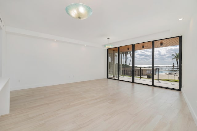 empty room with expansive windows and light hardwood / wood-style flooring