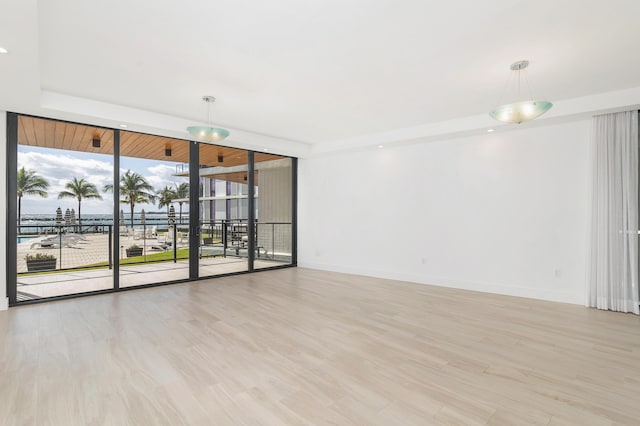 unfurnished room with light hardwood / wood-style floors and expansive windows