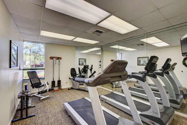 exercise room with a drop ceiling and carpet