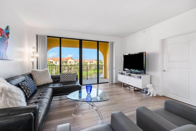 living room with hardwood / wood-style floors