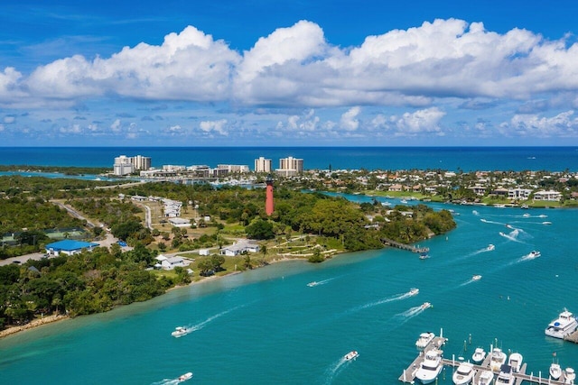 aerial view with a water view