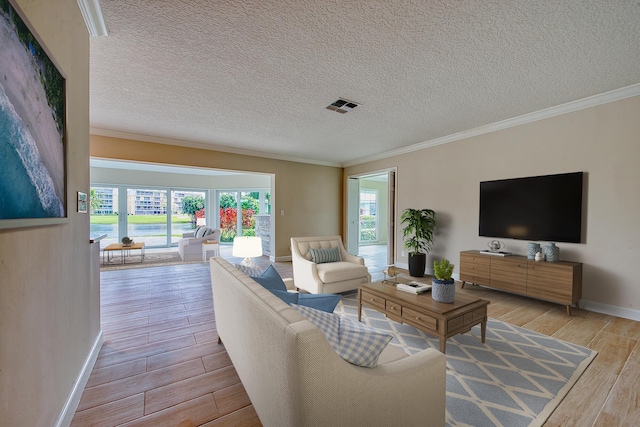 living room with crown molding and a textured ceiling