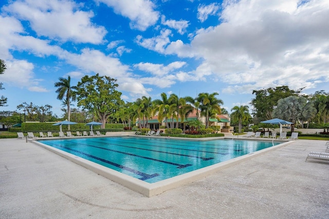 view of pool featuring a patio area