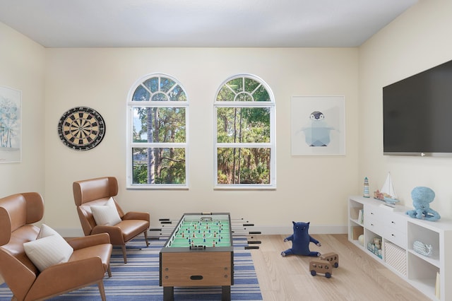 living area featuring hardwood / wood-style floors