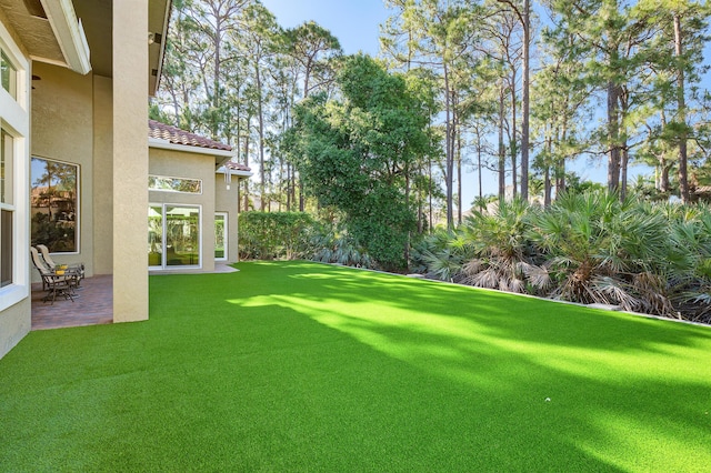 view of yard featuring a patio area