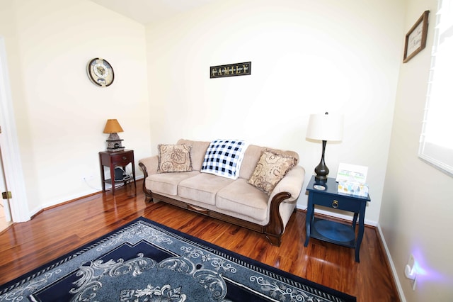 living room featuring hardwood / wood-style floors