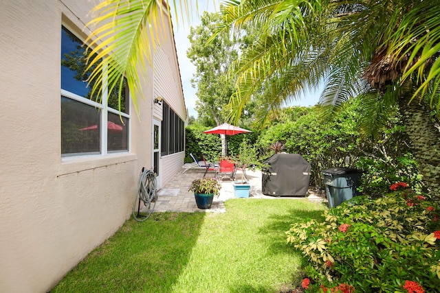 view of yard featuring a patio area