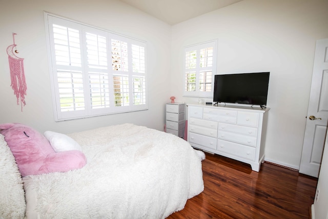 bedroom with dark hardwood / wood-style floors