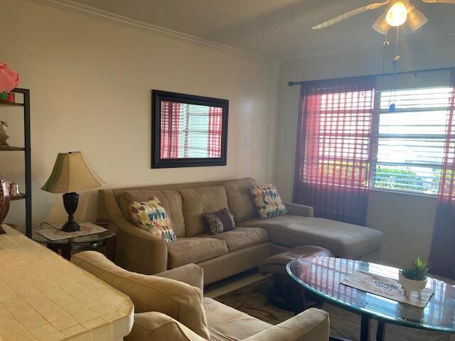 living room with crown molding and ceiling fan