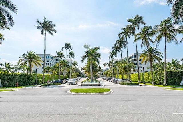 view of road featuring curbs and sidewalks