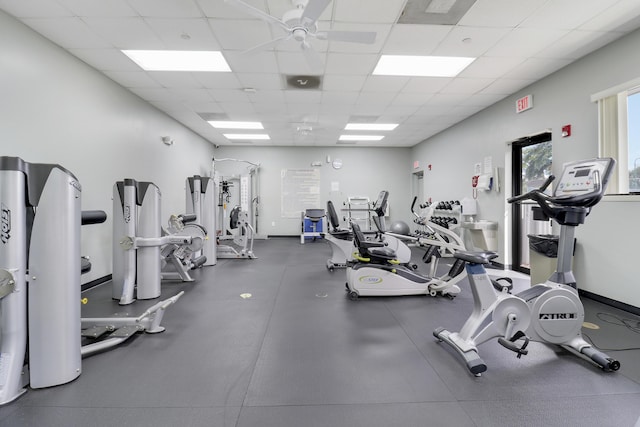 workout area with a drop ceiling and ceiling fan