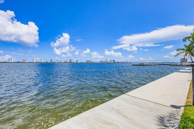 property view of water with a dock