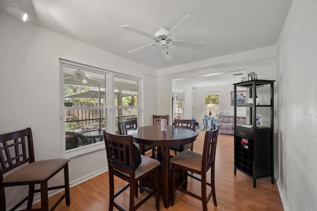 dining room with ceiling fan and hardwood / wood-style floors