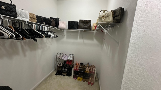 walk in closet featuring carpet