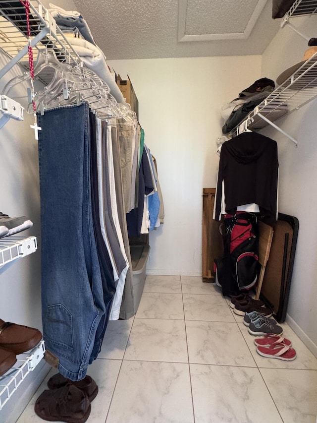 view of spacious closet