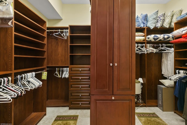 spacious closet featuring light colored carpet