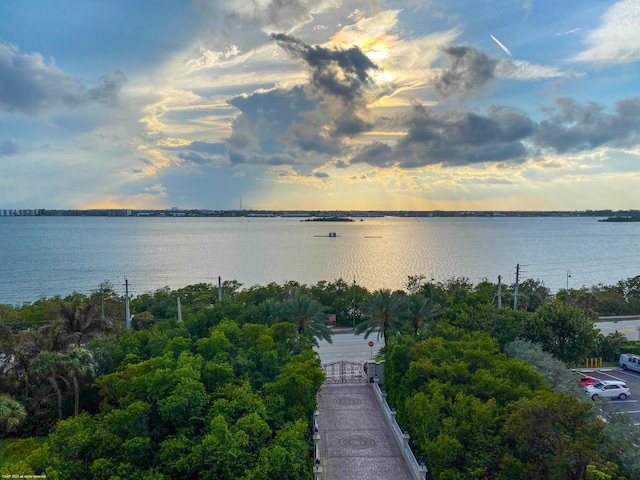 aerial view at dusk with a water view