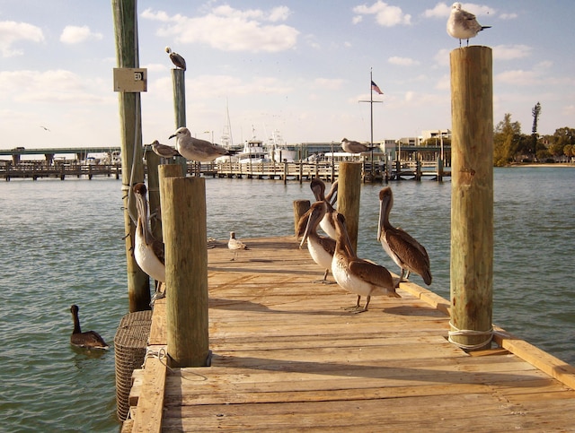 dock area with a water view