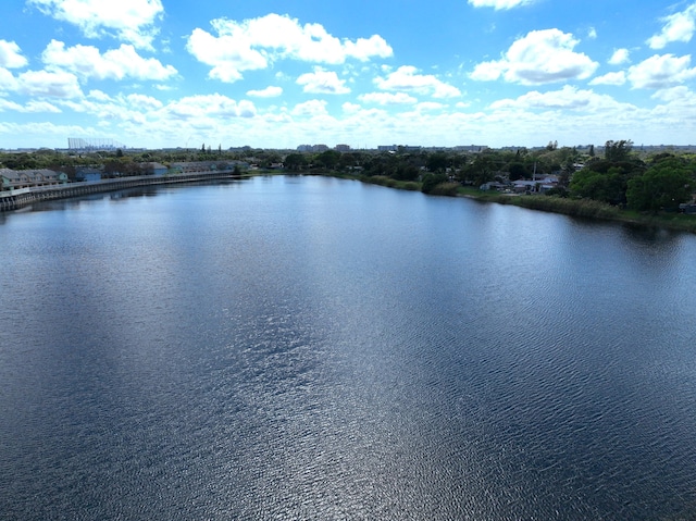 property view of water