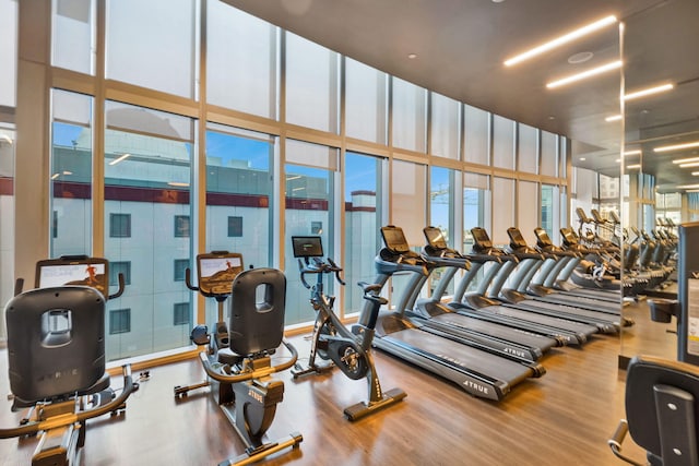 workout area featuring expansive windows and hardwood / wood-style flooring