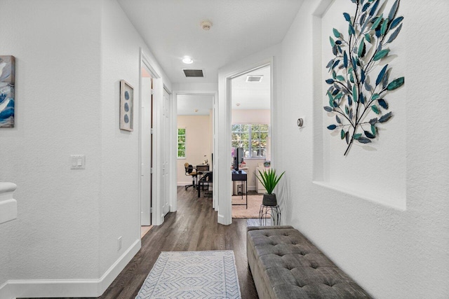 corridor with dark hardwood / wood-style floors