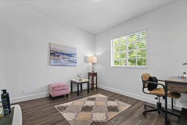 office space featuring dark hardwood / wood-style floors