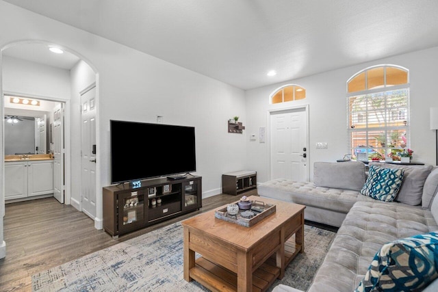 living room featuring hardwood / wood-style flooring