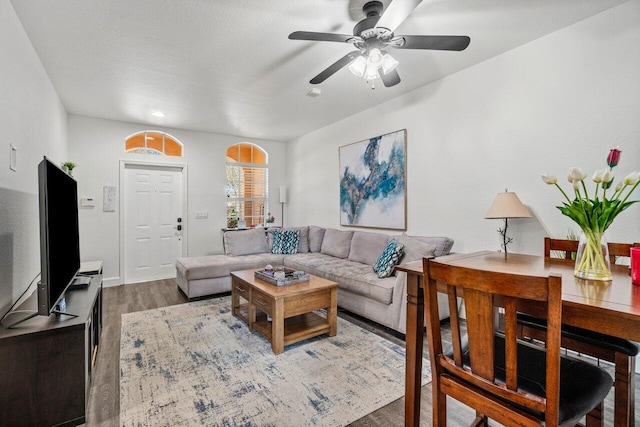 living room with ceiling fan and wood-type flooring