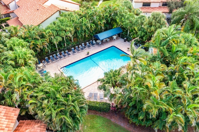 view of pool with a patio