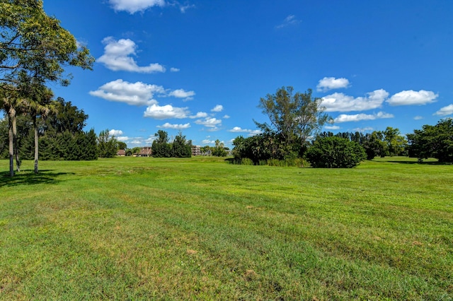 view of yard featuring a rural view