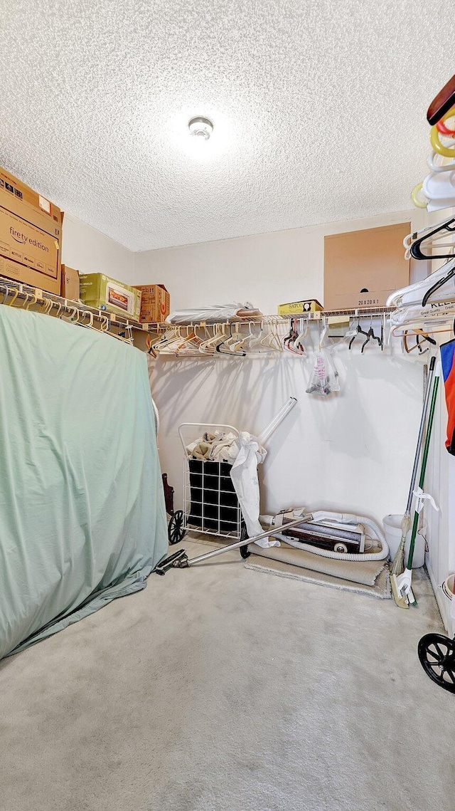 walk in closet featuring carpet floors