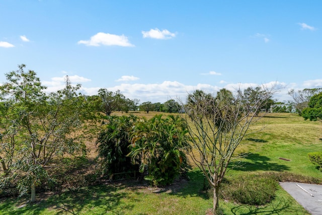 view of yard featuring a rural view