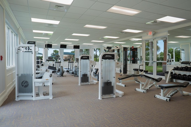 gym with carpet floors and a wealth of natural light