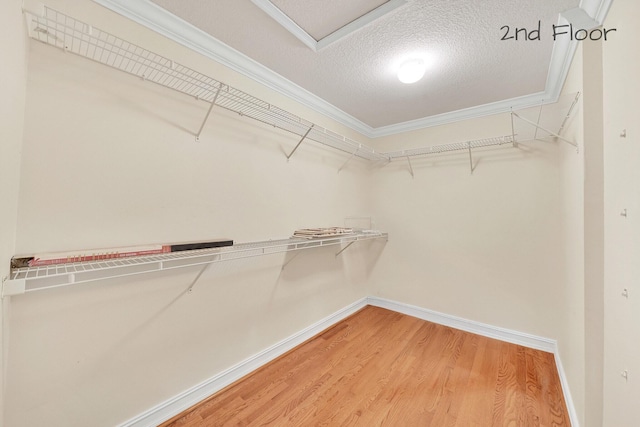 walk in closet featuring wood-type flooring