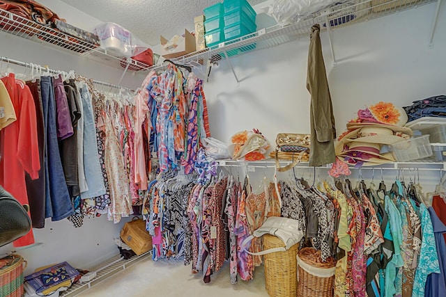 view of spacious closet