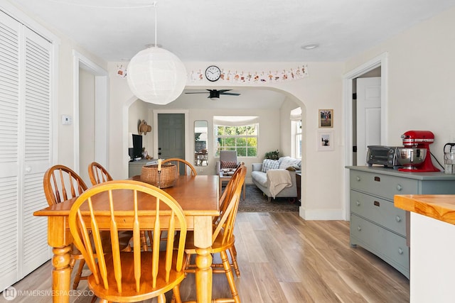 dining room featuring light wood-type flooring