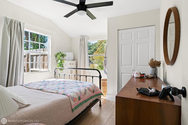 bedroom with multiple windows, hardwood / wood-style floors, vaulted ceiling, and ceiling fan