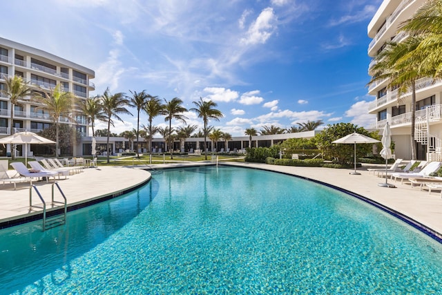 view of pool with a patio