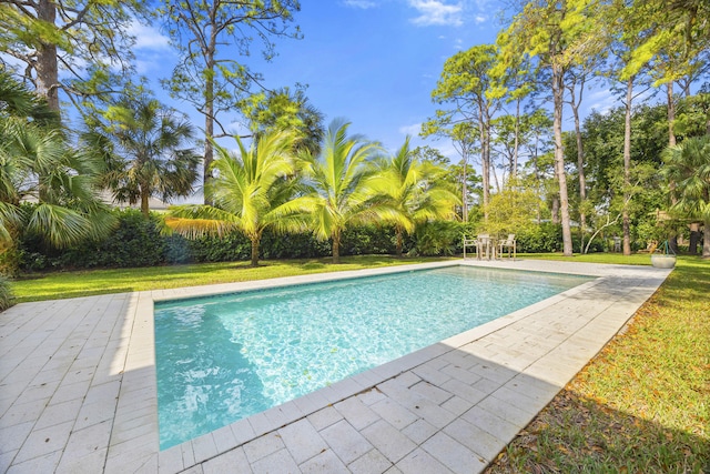 view of pool featuring a yard