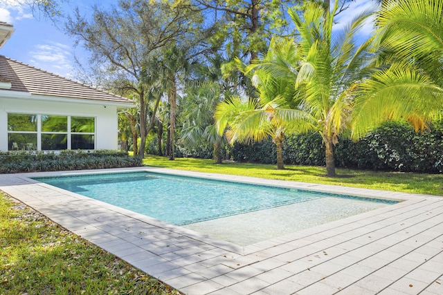 view of pool featuring a lawn