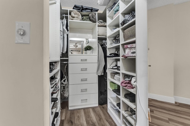 walk in closet with hardwood / wood-style floors