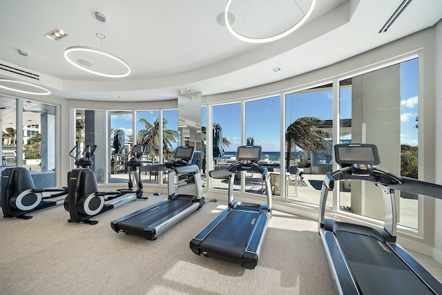 workout area featuring carpet floors