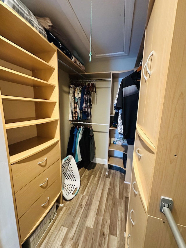 walk in closet featuring wood finished floors
