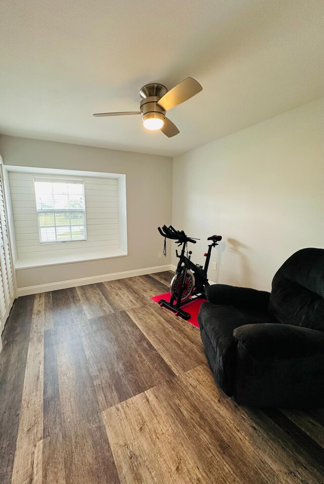 workout room featuring wood-type flooring and ceiling fan