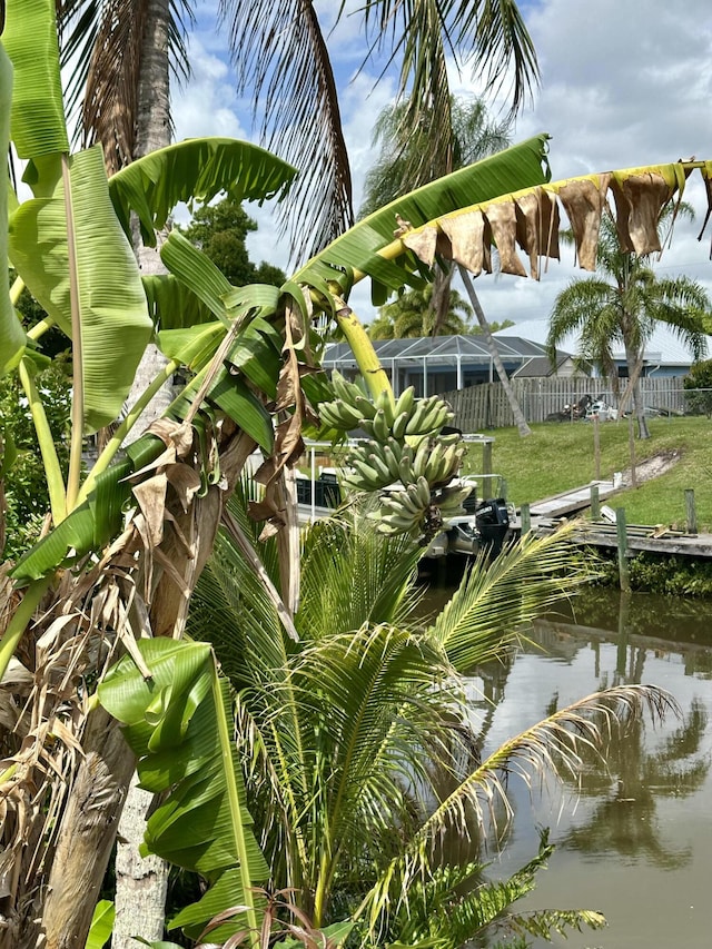 exterior view of fence